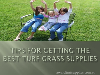Tips For Getting The Best Turf Grass Supplies