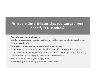 What are the privileges that you can get from Shopify SEO services