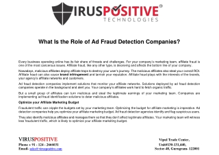 What Is the Role of Ad Fraud Detection Companies?