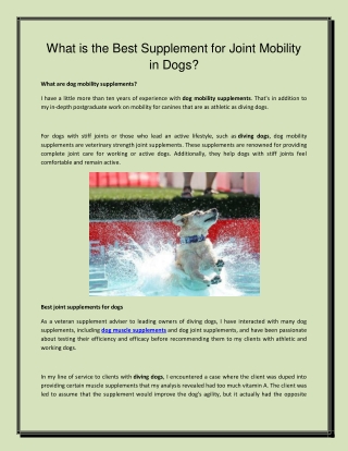 What is the Best Supplement for Joint Mobility in Dogs