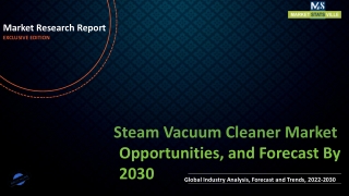 Steam Vacuum Cleaner Market Revenue Growth and Quantitative Analysis Till 2030