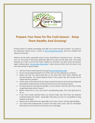 Prepare Your Trees For The Cold Season - Keep Them Healthy And Growing