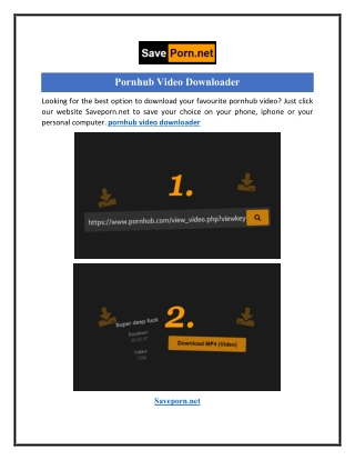 Pornhub Video Downloader  Saveporn.net