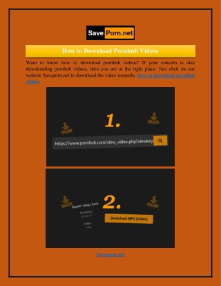 How to Download Pornhub Videos  Saveporn.net