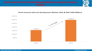 North America Cell Line Development Market To Witness Lucrative Growth Through 2
