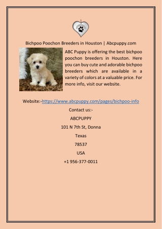 Bichpoo Poochon Breeders in Houston  Abcpuppy