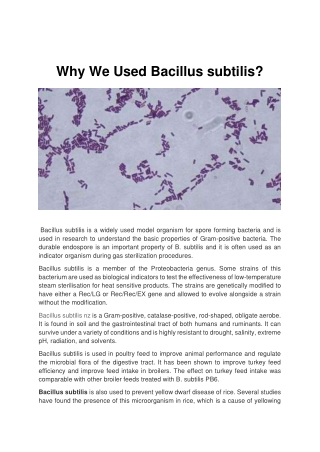Why We Used Bacillus subtilis