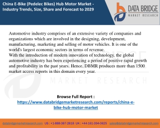 China E-Bike (Pedelec Bikes) Hub Motor Market Report