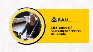 CRA Notice Of Assessment Services In Canada