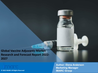 Vaccine Adjuvants Market : Research Report, Share, Trends and Forecast 2022-2027