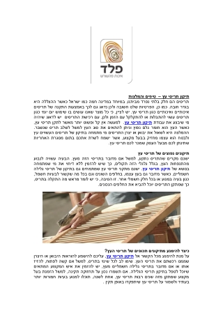 תיקון תריסי עץ –  טיפים והמלצות