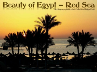 BEAUTY OF EGYPT - RED SEA