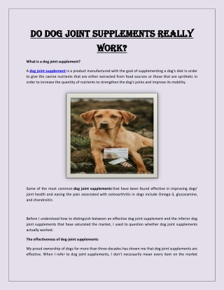 Do Dog Joint Supplements Really Work