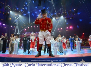 Circus Festival 2014