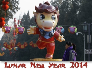 2014 Lunar New Year (part 3)