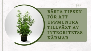 Bästa Tipsen För Att Uppmuntra Tillväxt Av Integritetsskärmar