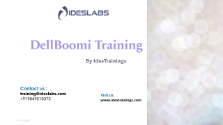 DellBoomi Training Ppt