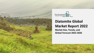 Diatomite Market