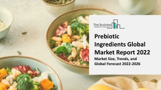 Prebiotic Ingredients Market