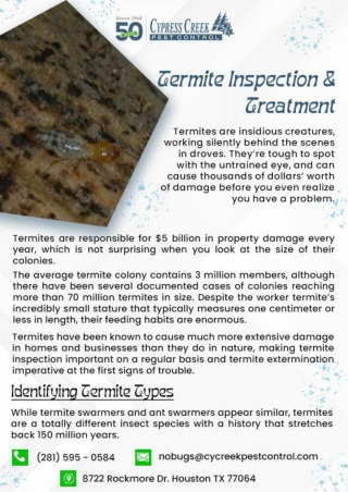 Termite Control Houston