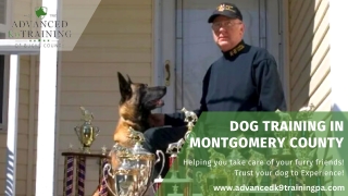 No 1 Dog Training in Montgomery County – Advanced K9 Training