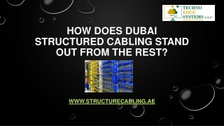 How does Dubai Structured Cabling stand out from Rest