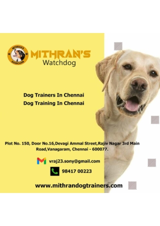 Dog Trainers In Chennai