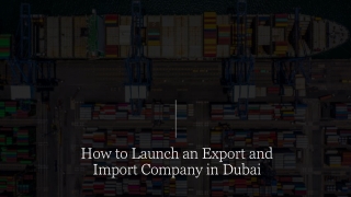 How to launch an import and export business in Dubai