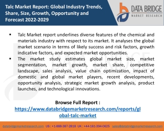 Talc Market