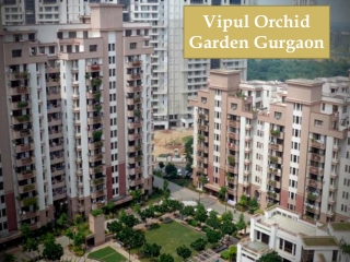 3 BHK Apartment for Sale in Gurgaon | Vipul Orchid Garden