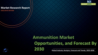 Ammunition Market Revenue Growth and Quantitative Analysis Till 2030