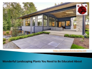 Wonderful Landscaping Plants You Need to Be Educated About
