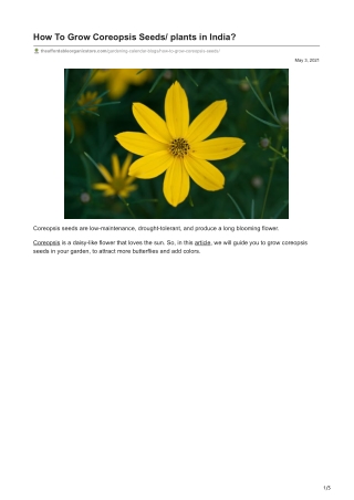 How To Grow Coreopsis Seeds/ plants in India?