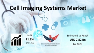 Cell Imaging Systems Market Growth Forecast To 2028