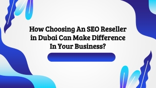 How Choosing An SEO Reseller in Dubai Can Make Difference In Your Business?