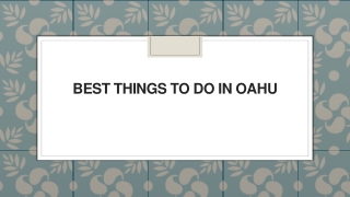 Best Things to Do in Oahu