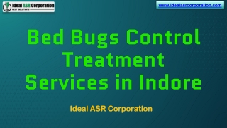 Bed Bugs Control Treatment Services in Indore