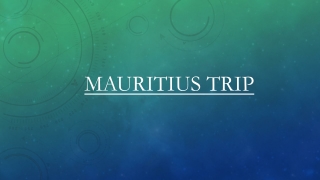 Get a Wide Range of Mauritius Tour Packages at Amazing Prices