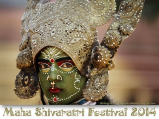 Maha Shivratri Festival 2014