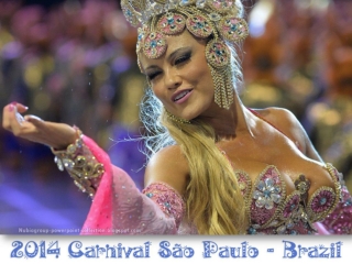 2014 Carnival São Paulo Brazil (2)