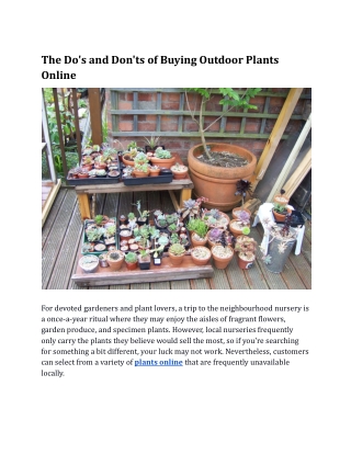 The Do's and Don'ts of Buying Outdoor Plants Online