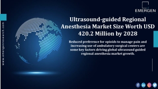 Ultrasound-Guided Regional Anesthesia Market Size, Revenue Share by 2028