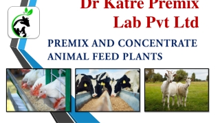 Premix and Concentrate Animal feed Plants by Dr Katre Premix Lab Pvt Ltd
