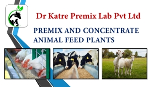 Premix and Concentrate Animal feed Plants by Dr Katre Premix Lab Pvt Ltd