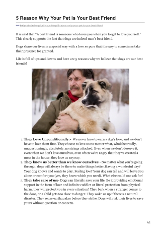 5 Reason Why Your Pet is Your Best Friend