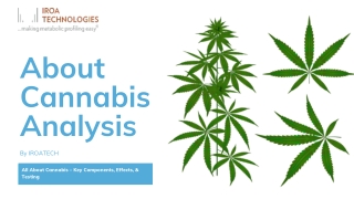 Information About Cannabis Testing and Analysis | IROA Tech