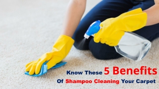 Know these 5 Benefits Of Shampoo Cleaning Your Carpet