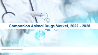 Companion Animal Drugs Market Research Insights 2022-28