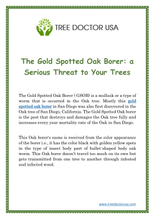 The Gold Spotted Oak Borer: A Serious Threat To Your Trees.