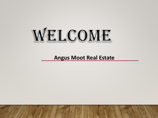 Are you Looking for the Best Real Estate Agency Somerfield?
